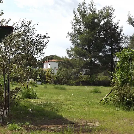 Pefka Studios & Apartament *