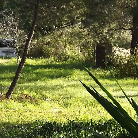 Pefka Studios & Vourvourou