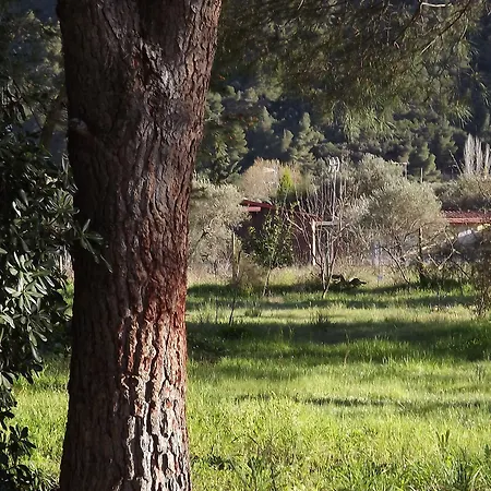 Pefka Studios & Vourvourou