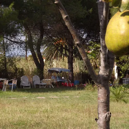 Pefka Studios & Vourvourou