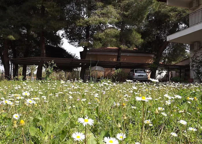 Apartamento Pefka & *