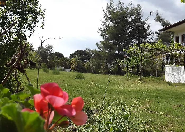 Pefka & Apartamento *