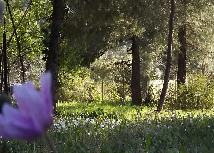 Apartamento Pefka & Vourvourou