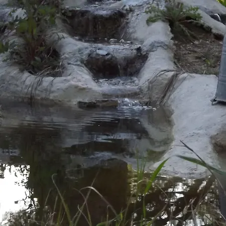 Pefka & * فوروفورو