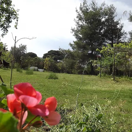 Pefka & Appartamento *