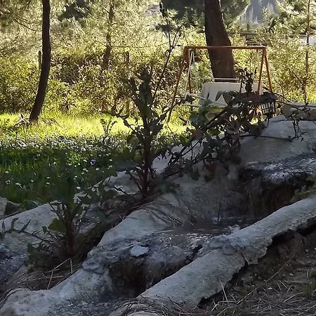 Pefka & * فوروفورو