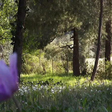 Appartamento Pefka & Vourvourou