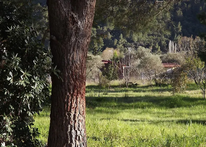 Pefka Studios & Vourvourou