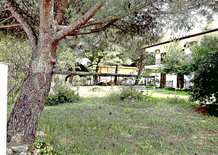 Pefka Studios &