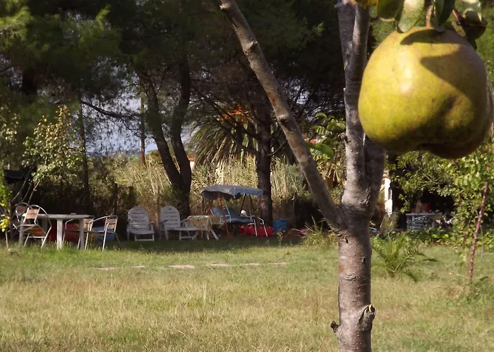 Pefka & Вурвуру