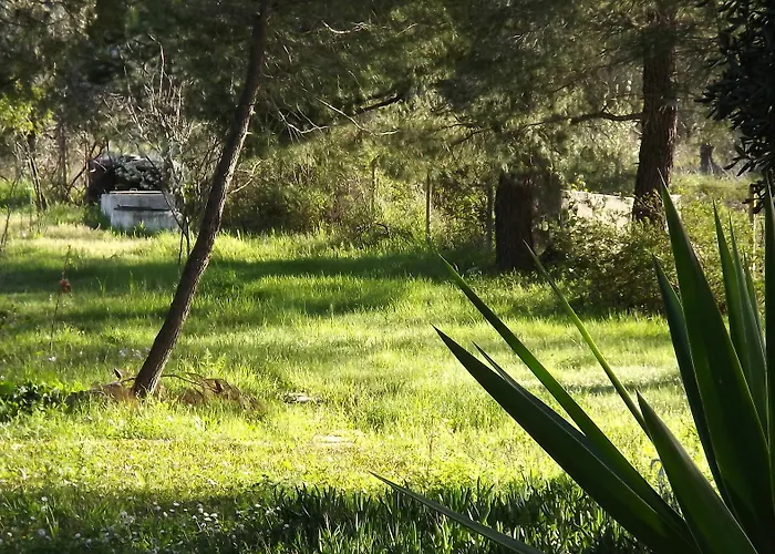 Pefka & Апартаменты