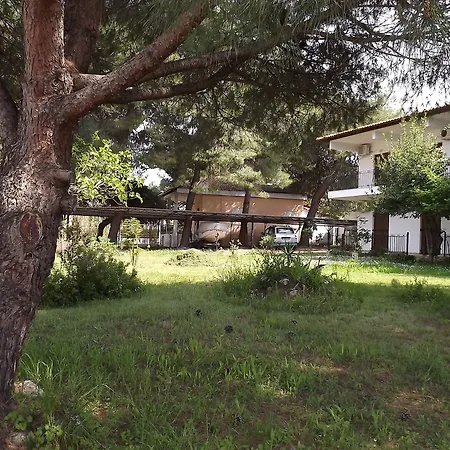 Pefka & * Vourvourou