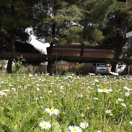 Apartmán Pefka & Vourvourou