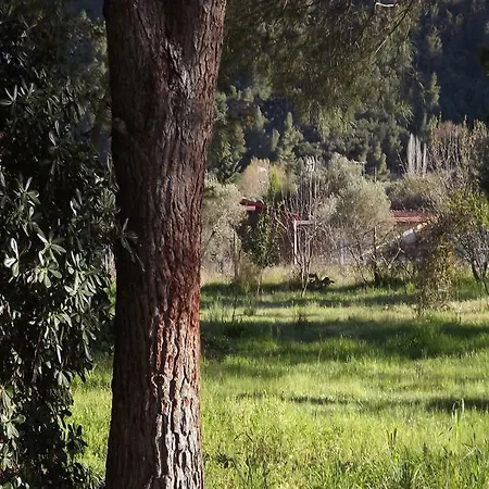 Pefka & Apartmán *
