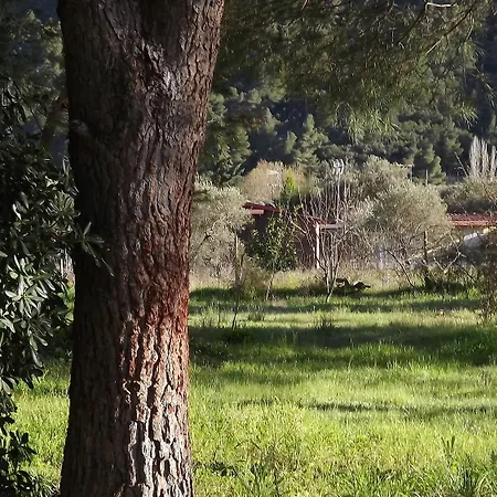 Pefka & Apartmán Vourvourou